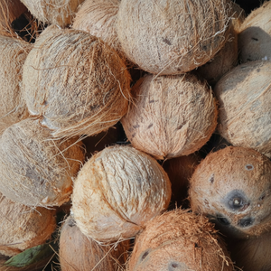 กึ่งแกลบมะพร้าวหวานเนื้อฟาร์มส่งโดยตรง - Product Image 1