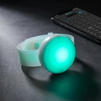 Pulsera LED con Control Remoto al por Mayor, Brazalete Intermitente de PP para Fiestas Corporativas, Bodas e Interacción