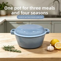 Casserole en fonte émaillée, faitout 2-en-1 avec couvercle, antiadhésif, résistant à la chaleur, pour 3 à 6 personnes, compatible induction et four