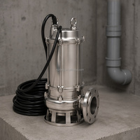 Pompe submersible et de surface en acier inoxydable pour eaux usées, pompe submersible verticale pour eaux usées, robuste, en acier inoxydable SS316