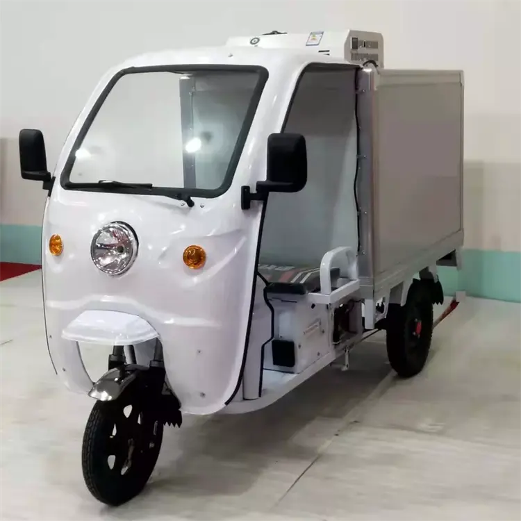 Factory Direct Supply Refrigerator Tricycle Fridge Tricycle Freezer Tricycle