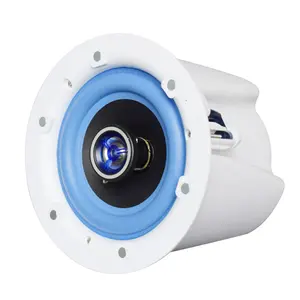 Professional Two-Way High Definition HIFI Speaker Ceiling Speaker