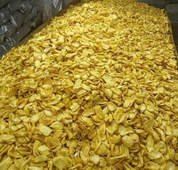 Gedroogde Jackfruit Sample Beschikbaar Natuurlijk Zonder Toegevoegde Suiker Gebakken Zoete Harde Textuur Fruit Snacks