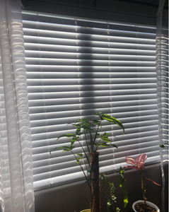 Persianas de Madera de Alta Calidad para Ventanas, Persianas Venecianas de Madera de Paulownia, Persianas de Madera Real, Suministro Directo del Fabricante, OEM - Product Image 1