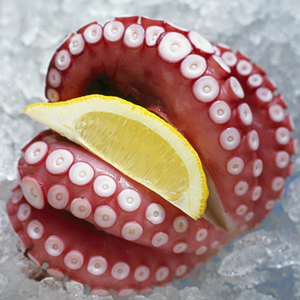 Fabricante Buen <span class=keywords><strong>Precio</strong></span> Rojo Delicioso IQF Frozen Baby Octopus 10kg Pack Listo para Comer - Product Image 1