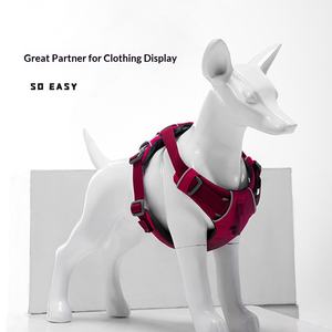 Nouveau <span class=keywords><strong>Mannequin</strong></span> de Poitrine et de Dos pour Chien en Fibre de Verre Détachable, Modèle G9 Entièrement Fait Main pour Vêtements pour Animaux et Présentations en Direct Dugao Dog Show - Product Image 3