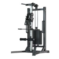Station de musculation murale avec fonction squat pour l'entraînement de la poitrine, des bras et des épaules, construction en acier, capacité de 70 kg