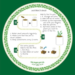 ชุดปลูกต้นไม้แคคตัสและไม้อวบน้ำ ตกแต่งบ้านง่ายๆ ด้วยดีไซน์ใหม่ สำหรับวางบนโต๊ะทำงานหรือในครัว พร้อมดินปลูก-ของขวัญที่สมบูรณ์แบบสำหรับ - Product Image 4