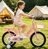 Nouveau style, vélo pour filles en acier à haute teneur en carbone, rose et violet, 12'', 14'', 16'', 18'', vélo pour enfants, cyclisme en plein air