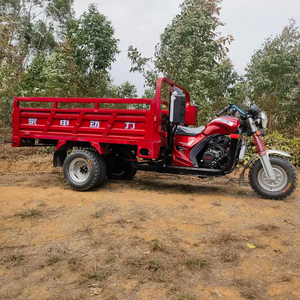 Grande capacité de chargement Tricycle Cargo <span class=keywords><strong>moto</strong></span> essence <span class=keywords><strong>trois</strong></span> <span class=keywords><strong>roues</strong></span> 150CC Tricycle motorisé véhicule à vendre - Product Image 2