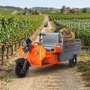 Tricycle à double usage certifié CEE, capacité de 300 kg, cadre unitaire, tricycle électrique robuste avec éclairage LED pour usage agricole - Product Image 1