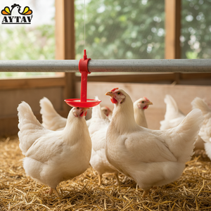 Nuevo Sistema de Bebederos de Tubo Cuadrado, Bebederos de Plástico para Animales, para Pollos y Broilers, Uso en Granjas, 1 Año de Garantía, Modelo AYTAV 302242 - Product Image 3