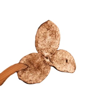 Écorce d'<span class=keywords><strong>orange</strong></span> séchée naturelle de Xinhui, Guangdong – Épice naturelle de mandarine séchée ancienne - Product Image 3