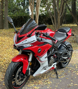 Moto ad Alte Prestazioni QJ Motor SRK600 <span class=keywords><strong>RR</strong></span> (QJ600GS-3D) del 2021: Motore a 4 Cilindri in Linea, Cambio Rapido per Guida Sportiva - Product Image 6