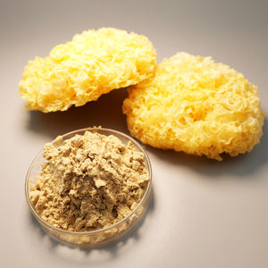 하이 퀄리티 트레멜라 추출물 10:1-100:1 수용성 트레멜라 분말 트레멜라 다당류 분말 30%-80% - Product Image 4