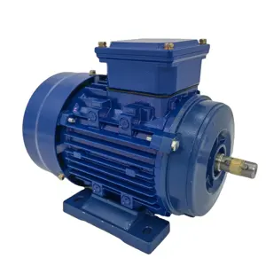 YE 3 Series 220v 0.37kw 1kw 2.2kw 3kw 4kw 7.5kw Aluminium Shell Single Phase Asynchronous Electric Motors for Sale