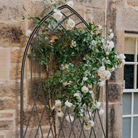 Treillis de jardin en métal noir de haute qualité pour plantes grimpantes, clôture de jardin, panneaux de treillis pour plantes de jardin