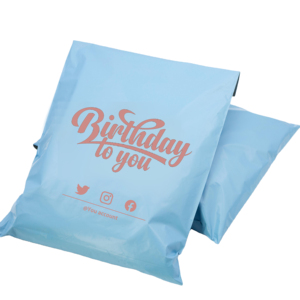 Eco-friendly Plastic Mailing Pouch Self Seal Express Mailer Polymailers Bags Custom logo Shipping Bag for Clothing Shoe Box - Product Image 1