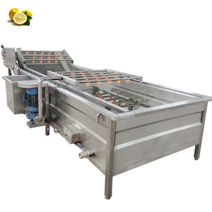 air Bubble Cleaning Machine Flower Wash Bubble Wash Machine Washing Machine for Vegetables - Product Image 6