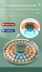 Wonegg mới chim cút gà tây lồng ấp 50 trứng lồng ấp Nhiệt kế 12V DC lồng ấp trứng - Product Image 3