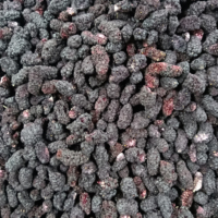 Guoyue vente en gros de mûrier lyophilisé alimentation saine collations sucrées aigres parfum croustillant fruits lyophilisés entiers