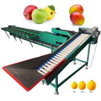 Commerciële Mango Sorteermachine, Oranje- en Citroensorteermachine, 10 gradaties fruit sorteermachine