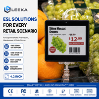 Etiqueta Electrónica de Estante LEEKA ESL de Alta Visibilidad, Legible Bajo la Luz Solar, Etiqueta Digital Administrable a Distancia para Hipermercados