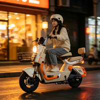 Vélo électrique à 2 roues personnalisé OEM, vélo électrique de ville à double siège avec panier pour les trajets familiaux, vente en gros