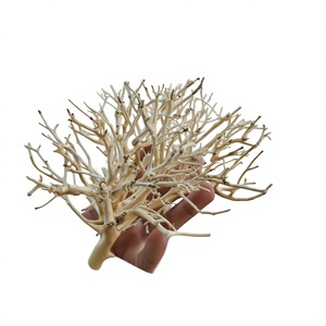 Natural Driftwood Aquarium Decoration Irregular Shape For Fish <b>Tank</b> Ornament Made in VietNam - Product Image 1