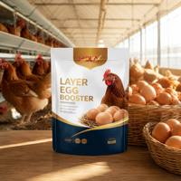Aliment Complémentaire Prémélangé de Haute Qualité pour Volailles : Optimise la Production d'Œufs et le Gain de Poids – Prix de Gros