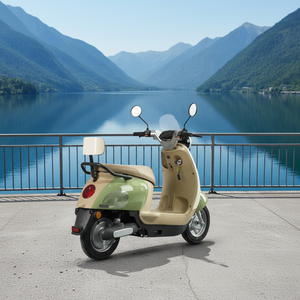 TYCORUN CKD Moto électrique légère 10 pouces 800W 45km/h – Trottinette électrique à pédales à prix d'usine, vente chaude pour la vente en gros - Product Image 1