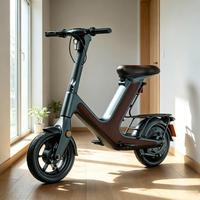 Trottinette Électrique Urbaine H&O D50, Roue 14 pouces, Lithium 48V, 500W, Frein à Double Tambour pour Commuters et Opérateurs de Partage de Trottinettes