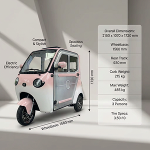 Tricycle électrique fermé pas cher, tricycle à assistance électrique, double usage pour le transport de passagers et de marchandises à domicile, vélo électrique à 3 roues - Product Image 2