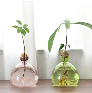 <span class=keywords><strong>Vase</strong></span> en verre hydroponique en forme d'<span class=keywords><strong>avocat</strong></span> japonais <span class=keywords><strong>Vase</strong></span> de plantation spécial pour graines Noyau de fruits Conteneur hydroponique <span class=keywords><strong>Vase</strong></span> coloré - Product Image 4