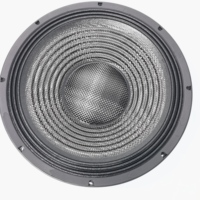 Subwoofer Profesional de 18 Pulgadas con Cono de Fibra de Carbono y Neodimio para Sistemas de Sonido Line Array