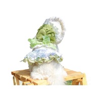 Ensemble Robe et Chapeau de Soleil pour Chien Style Français à Motifs Floraux, Design Princesse Élégant en Dentelle, Vêtements Lavables Printemps/Été pour Petits/Moyens Chiens et Chats