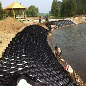 Çin fabrika fiyat Roadbed takviye stabilizasyon Geocell çakıl sabitleyici kaldırım ızgara akrilik ko-polimer toprak sabitleyici - Product Image 4