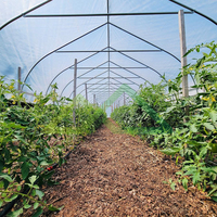 Serre agricole intelligente multi-chapelles à petite échelle pour la production de légumes, équipée du film POPE