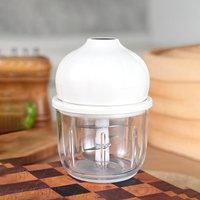 350ml Unieke Vormgegeven Glazen Mini Elektrische Knoflookhakker Draagbare Groente- & Babyvoedselprocessor