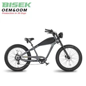 OEM Easy Rider 2 ล้อEจักรยาน 2023 ไฟฟ้าจักรยาน 1000W 48Vไฟฟ้าไขมันยางจักรยานCE