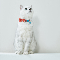 UFBemo – boucle de sécurité personnalisée, ceinture de séparation, cloche, collier pour animaux de compagnie, collier pour chat