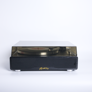 Giradischi Retrò per Vinili LP, Cartuccia Audio <span class=keywords><strong>Technica</strong></span> AT3600L, 2 Velocità con Arresto Automatico, 4 Altoparlanti Stereo Integrati - Product Image 3