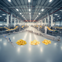 Système de production de frites à haut rendement, économique, durable, à technologie de récupération d'énergie, avec une production de 300 kg/h et une qualité stable