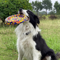 Jouet flottant rond en EVA pour chien, couleurs assorties, interactif et flottant pour l'entraînement et le jeu en extérieur (vente en gros)