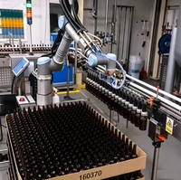 Robot dépalettiseur automatique pour bouteilles de bière, boissons, verres et canettes – Machine de dépalettisation pour ligne de production d'eau
