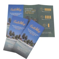 Impression personnalisée de manuels d'instructions tripliés de haute qualité, menus de restaurant, brochures, prospectus publicitaires, dépliants