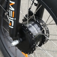 Tricycle électrique à pneus larges EZREAL BAFANG 750W, vélo électrique à 3 roues 48V, tricycle électrique à 3 roues stable pour la livraison et les utilités