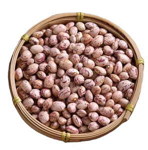 Trắng Đen thận đậu đỏ xuất khẩu <span class=keywords><strong>vigna</strong></span> đậu ánh sáng ngọc trai lốm đốm thận đậu để bán - Product Image 1