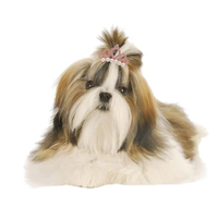 Accessoires pour chiots faits main en perles, fournitures de toilettage pour chats, coiffe en forme de couronne, pince à cheveux, nœud papillon, épingle à cheveux, nœud pour chien