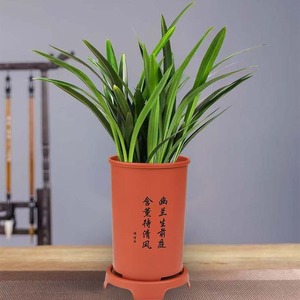 Maceta cilíndrica de imitación de arcilla púrpura para orquídeas con orificio de drenaje para plantas de escritorio - Product Image 1